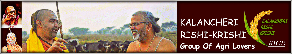 Kalancheri Rishi Krishi Group of Agri Lovers thanjavur patashala thanjavur