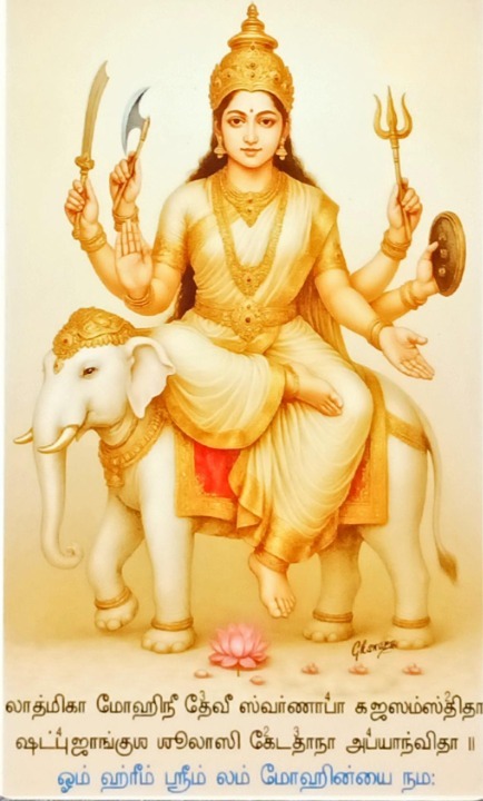 WhatsApp Image 2026-01-26 at 5.14.38 PM (1)